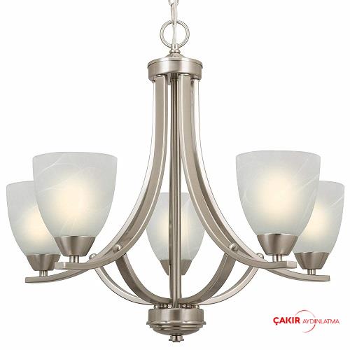 سوف تحب الثريا النيكل الحديثة